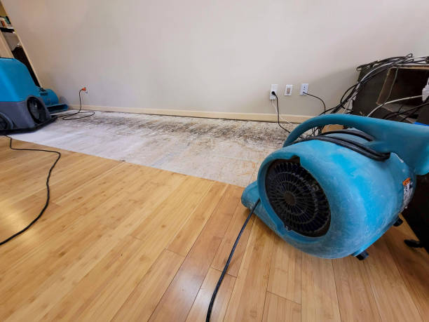 Professional Water Damage Repair technician working in New Philadelphia, PA